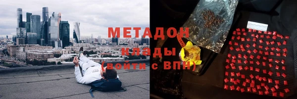 прущие грибы Ладушкин