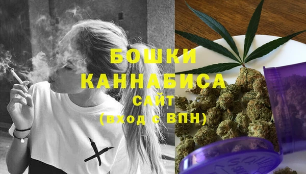 соль ск Кукмор