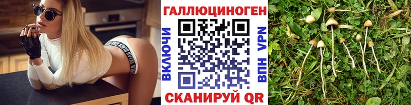 Галлюциногенные грибы мицелий Видное